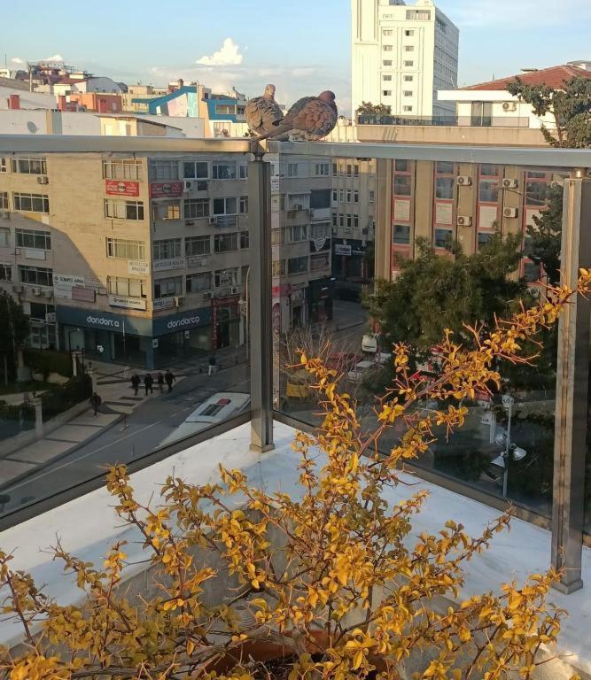 Old Town Grand Apart Hotel Antalya Exterior foto